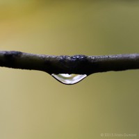 /album/galerie-photos/frida-dumont-img-4435-jpg/